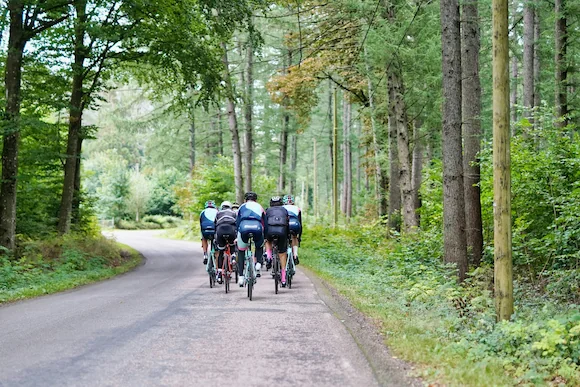 used-bike-vs-new-bike-bottom-line.webp