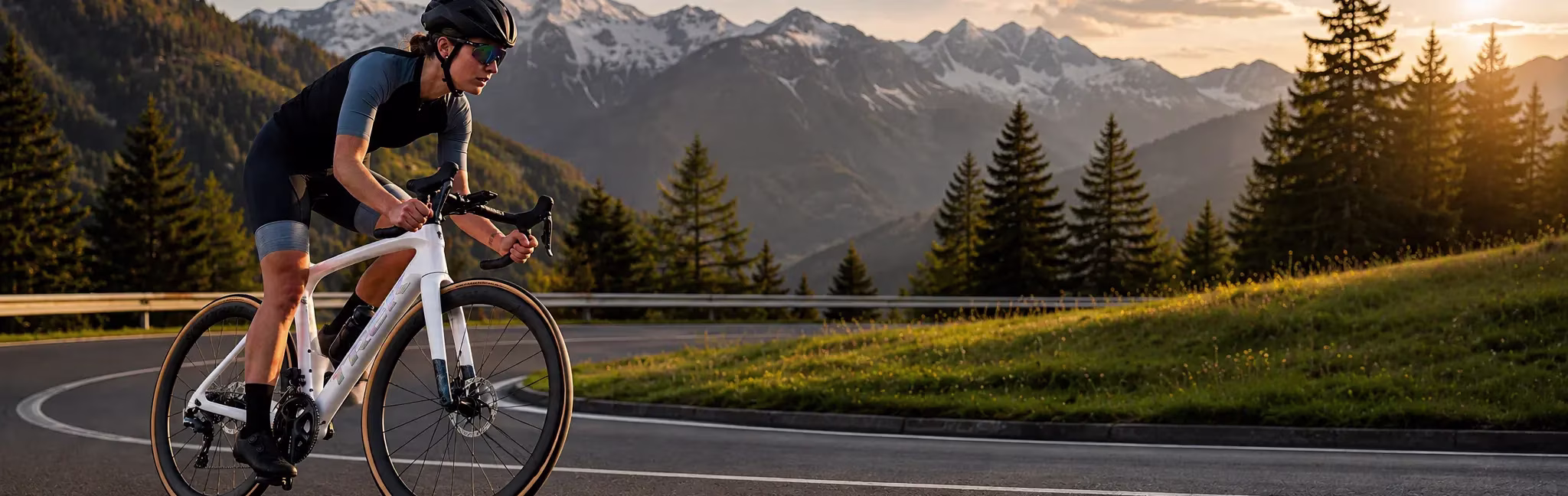road-brands-hero-light.webp