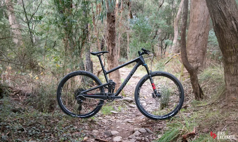 Image_Blog MTB Comparison Focus MTB