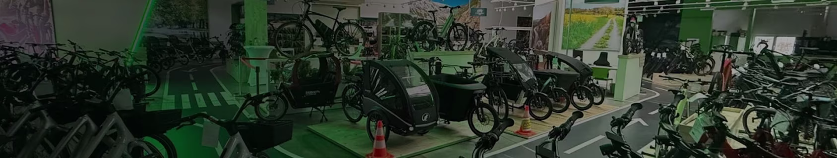 Image_Hero-Breadcrumb_e-Bikewelt Hanau (1).webp
