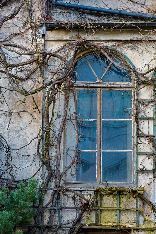 RP Remagen Hotel Rheingold-Bellevue Rolandseck