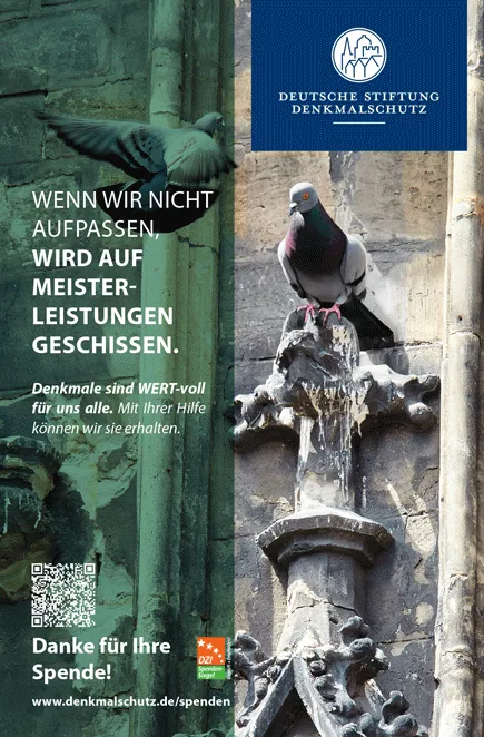 Freianzeige DSD wert-voll Meisterleistungen hochkant Freianzeige DSD wert-voll Meisterleistungen hochkant