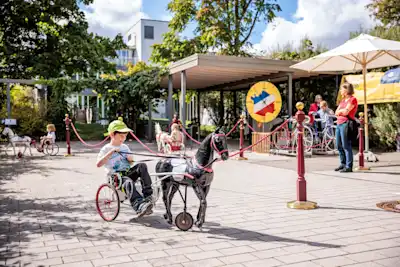 Tag des offenen Denkmals 2025 (Sep Ruf Bau Bonn) | Fotoquelle: Daniel Elke