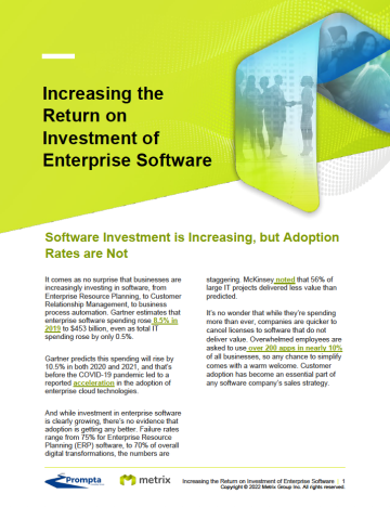 Enterprise Software Whitepaper