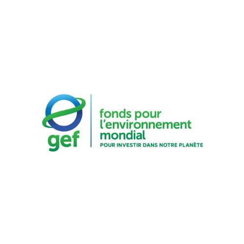 Programmes de recherche - FEM