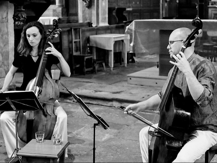 Newe Vialles - Old Viols