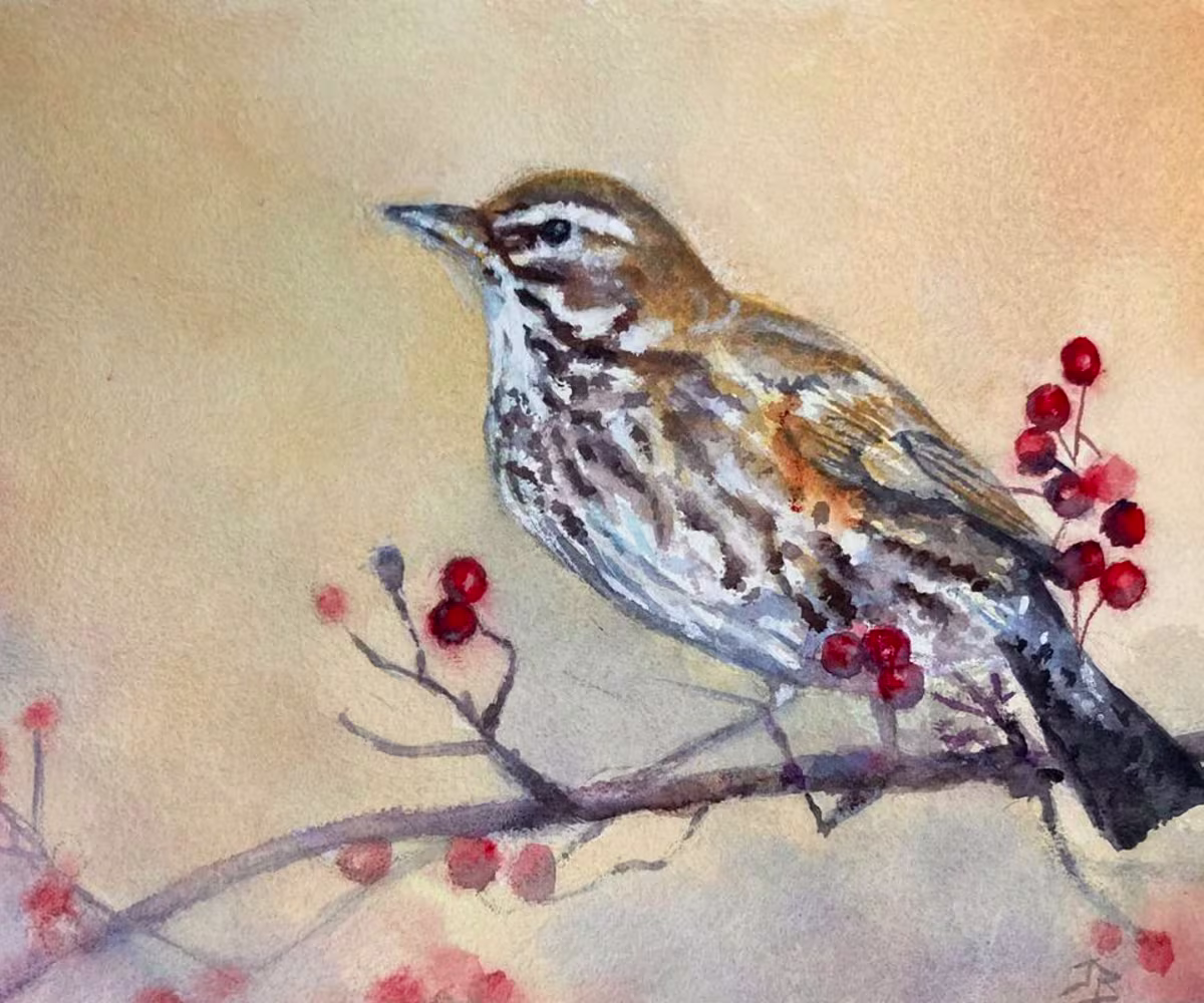 The Bird Fancyer's Delight The Bird Fancyer's Delight