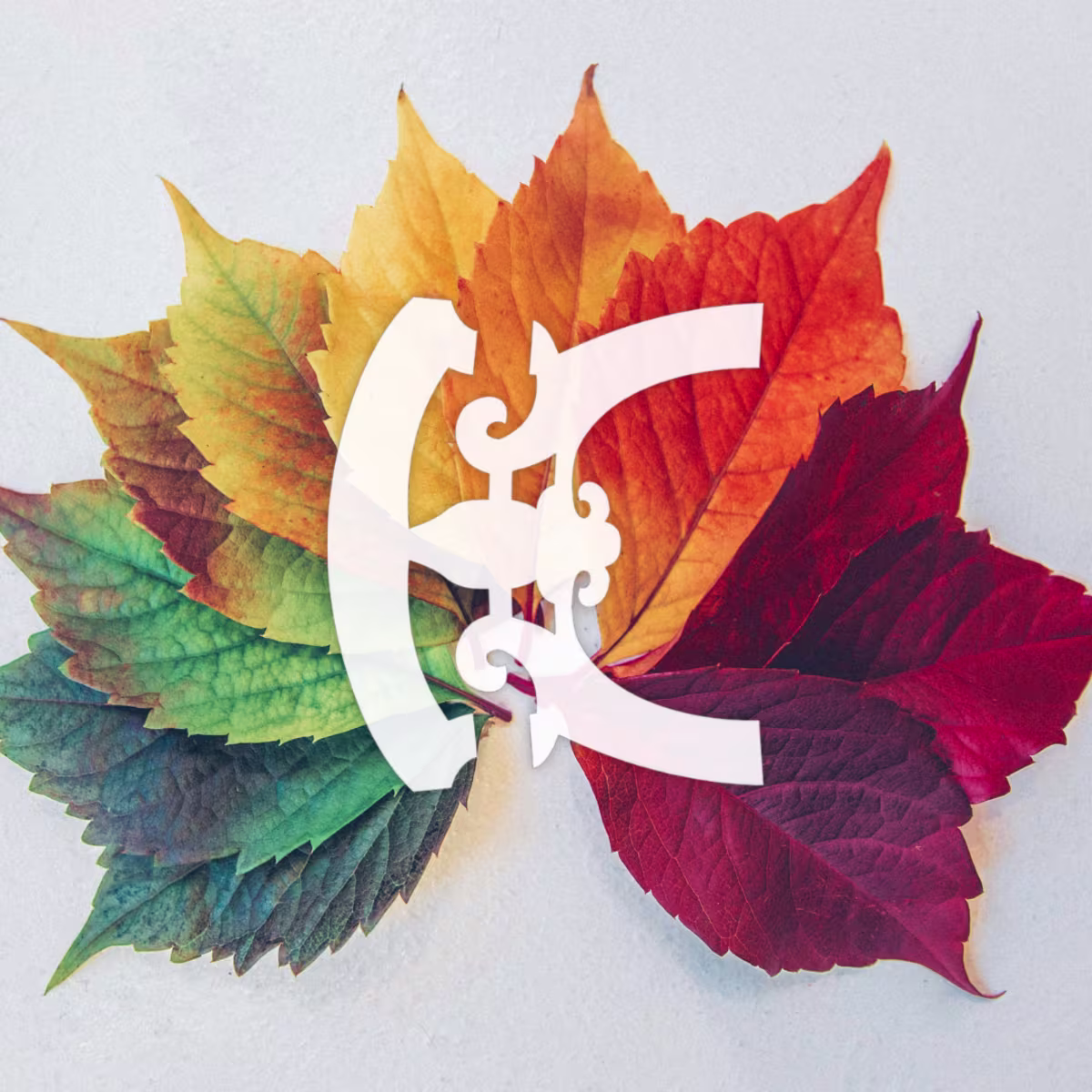 Playlist: The Seasons Playlist: The Seasons