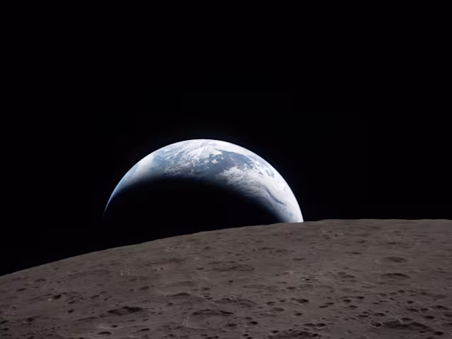 Bach, the Universe and Everything: We Will Explore Bach, the Universe and Everything: We Will Explore