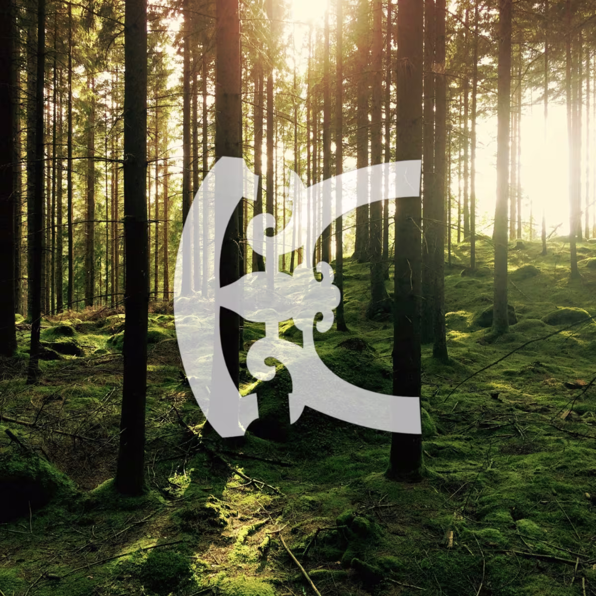 The Enchanted Forest The Enchanted Forest