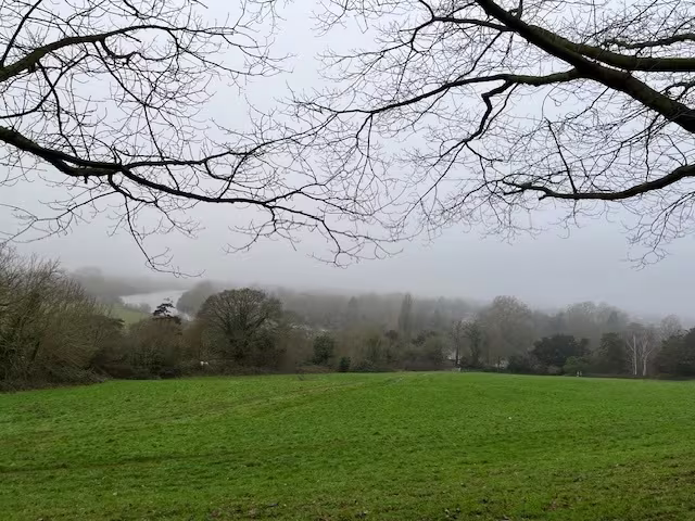 Oroonoko and the Black presence in Georgian theatre and music Oroonoko and the Black presence in Georgian theatre and music