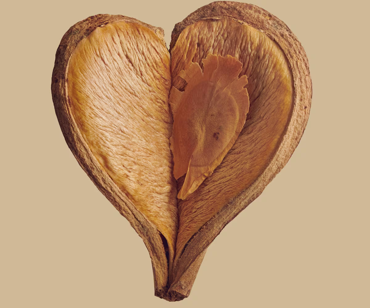 St Matthew Passion St Matthew Passion