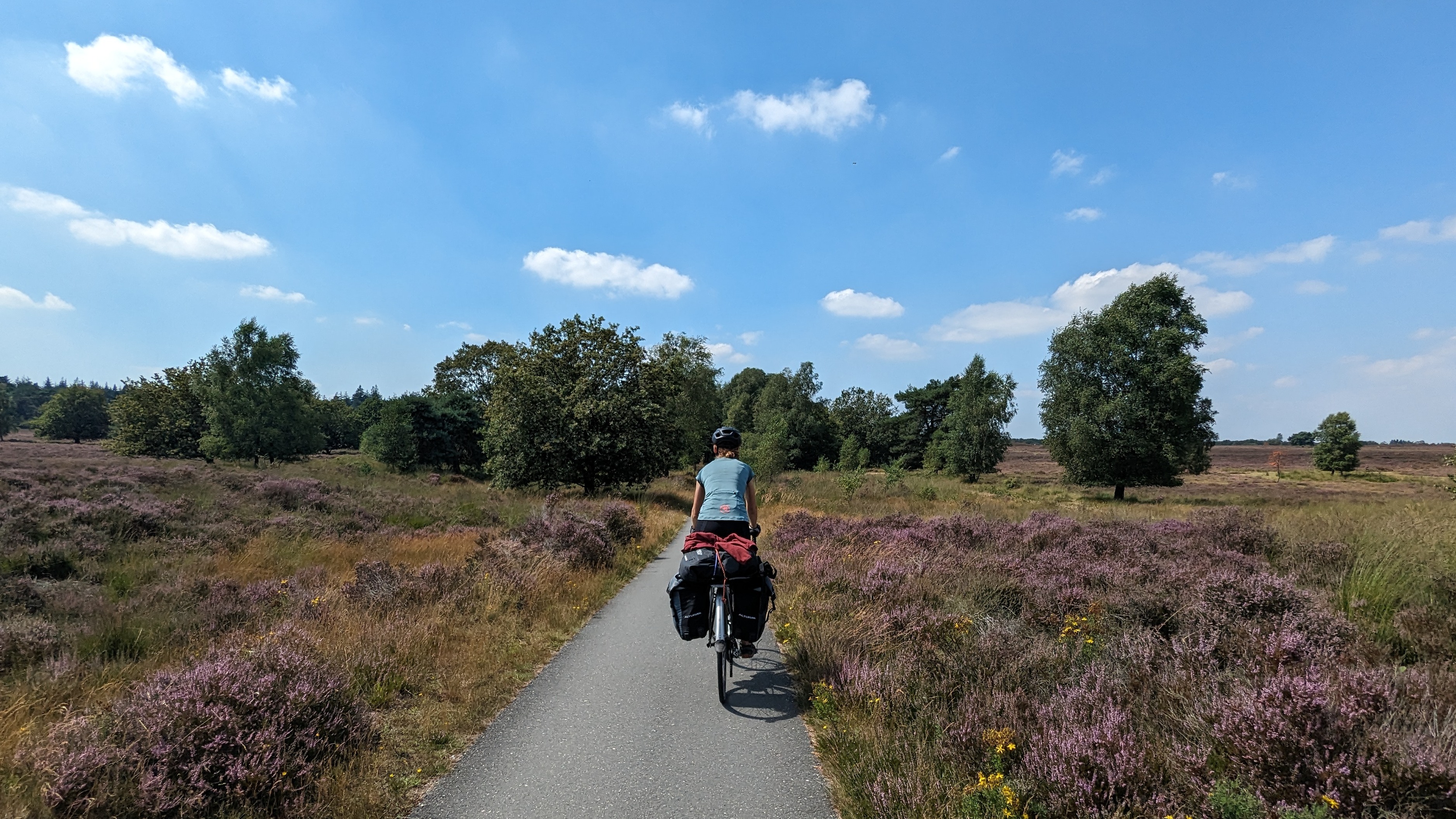 a woman cycling along a straight tarmac road with gorse and heathland on either side