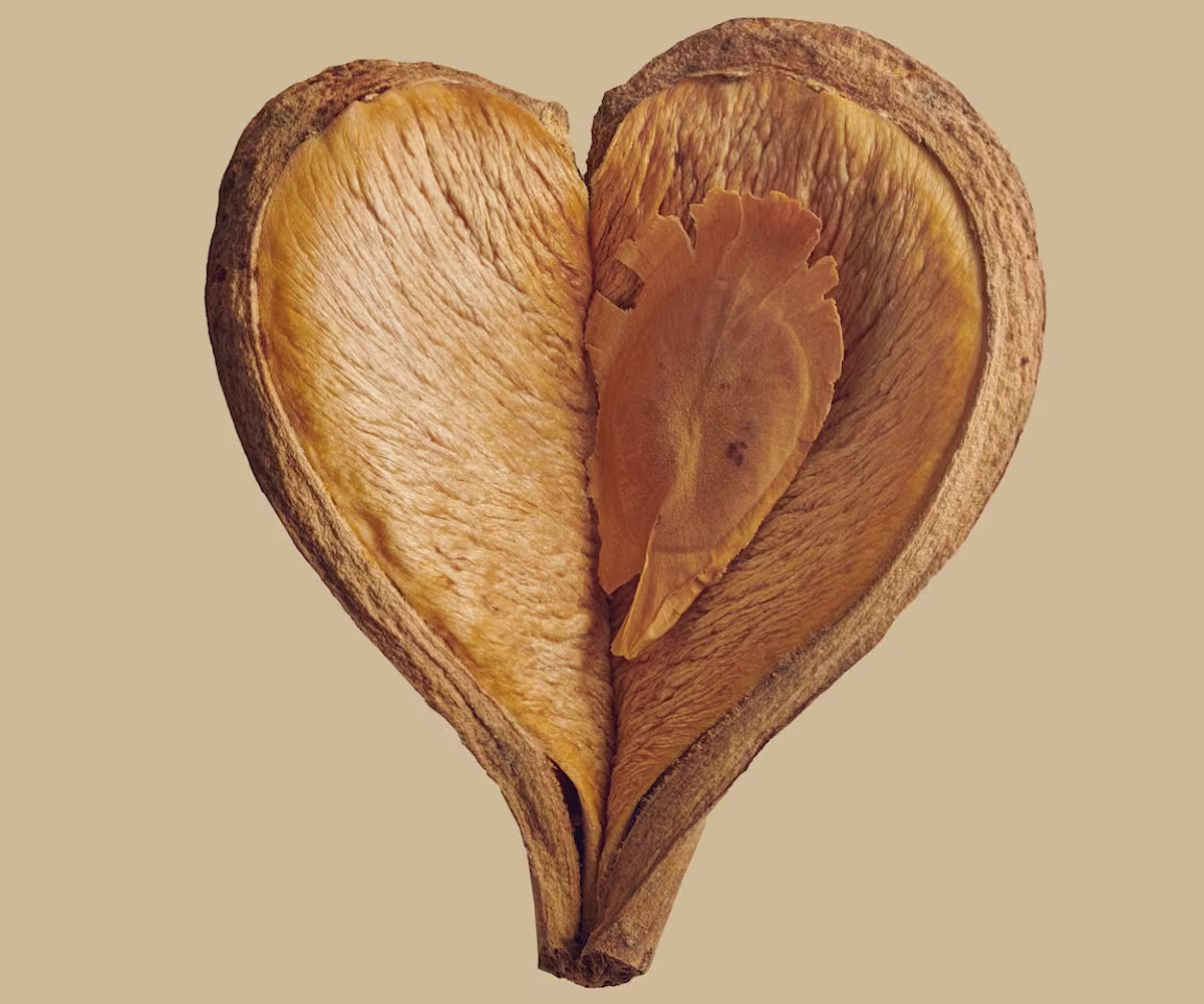 St Matthew Passion St Matthew Passion