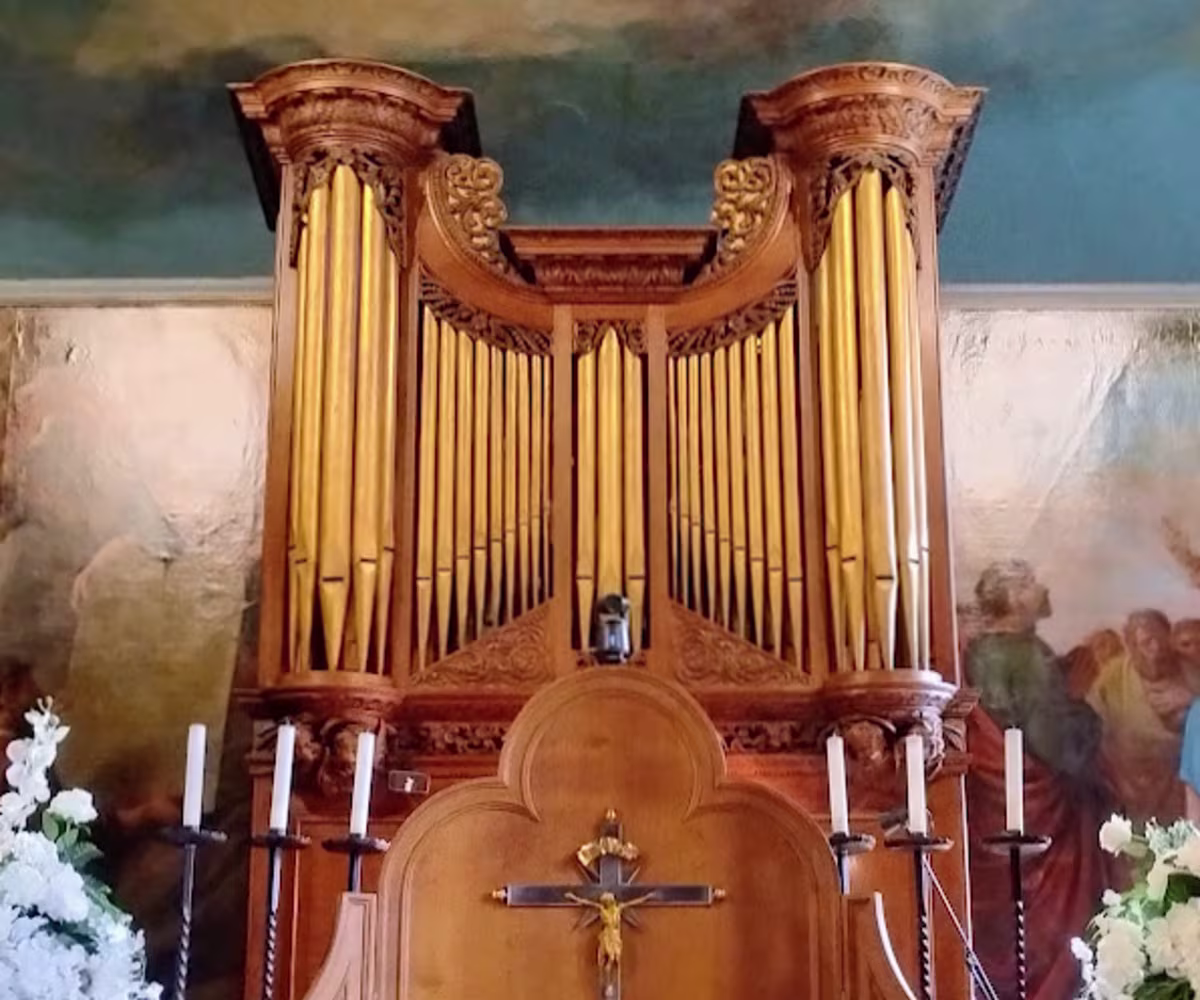 Byrd to Blow Byrd to Blow