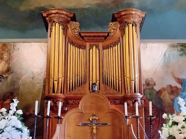 Byrd to Blow Byrd to Blow