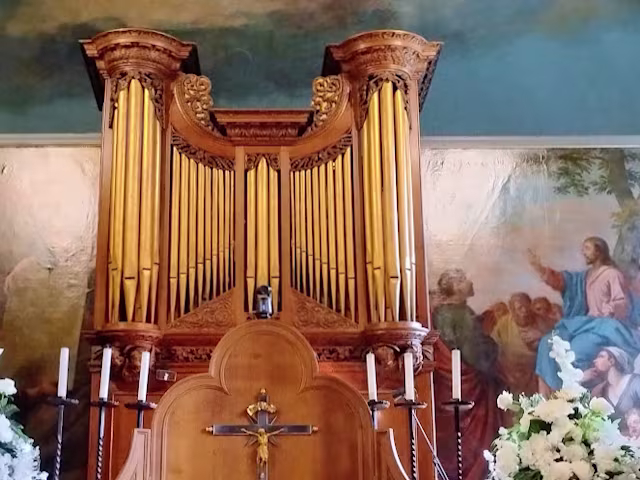 Byrd to Blow Byrd to Blow