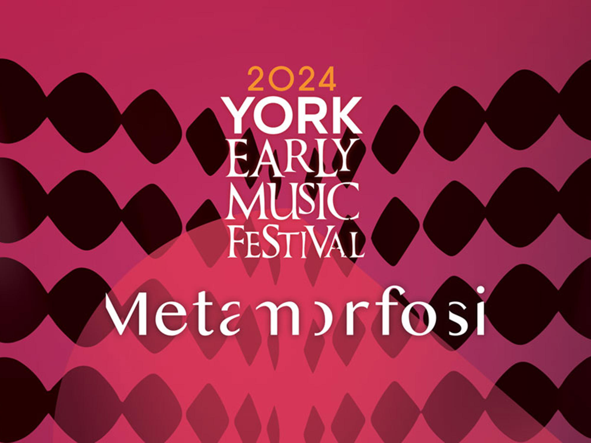 Continuo Connect — York Early Music Festival