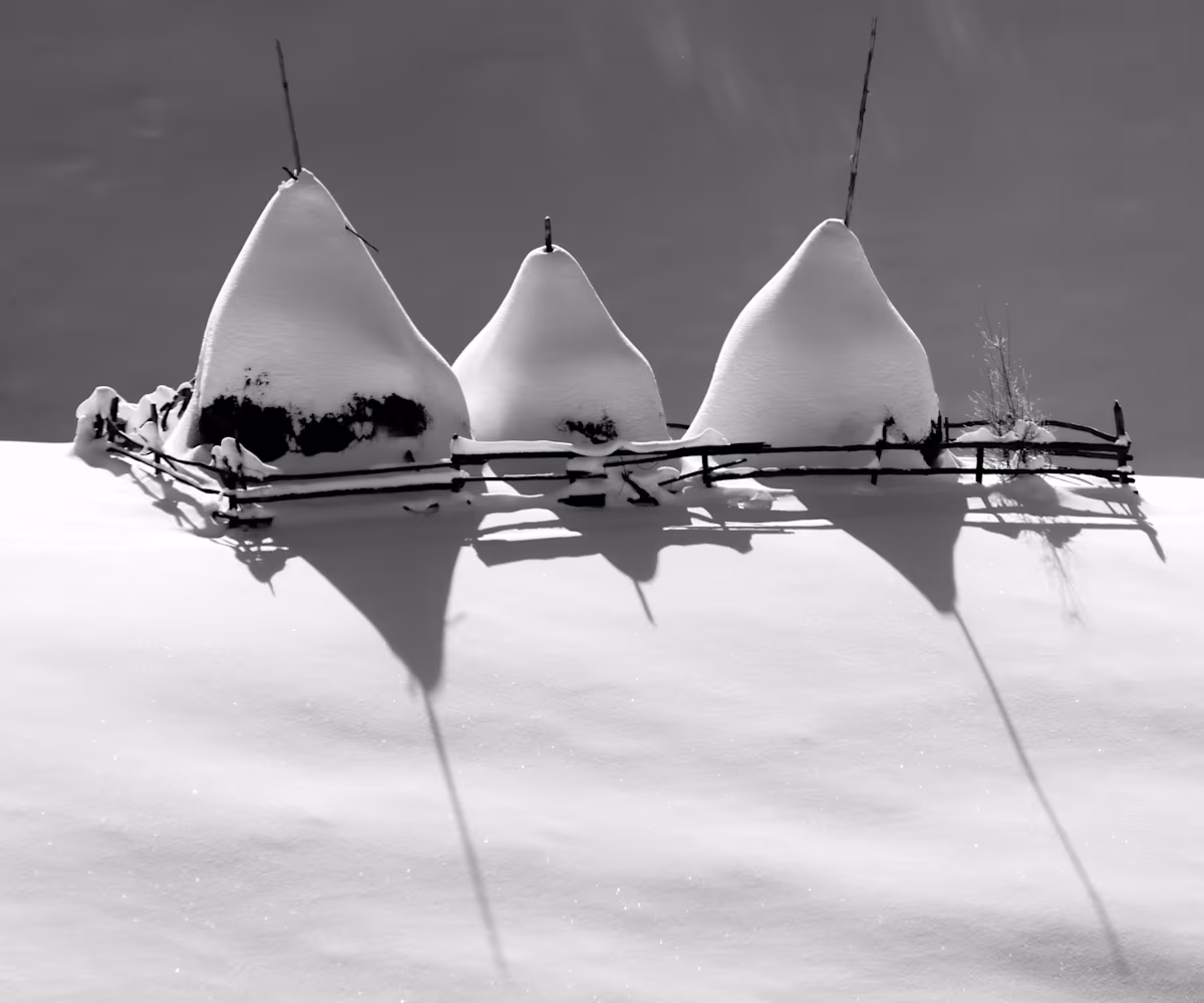 Schubert Complete(d) Trios Schubert Complete(d) Trios