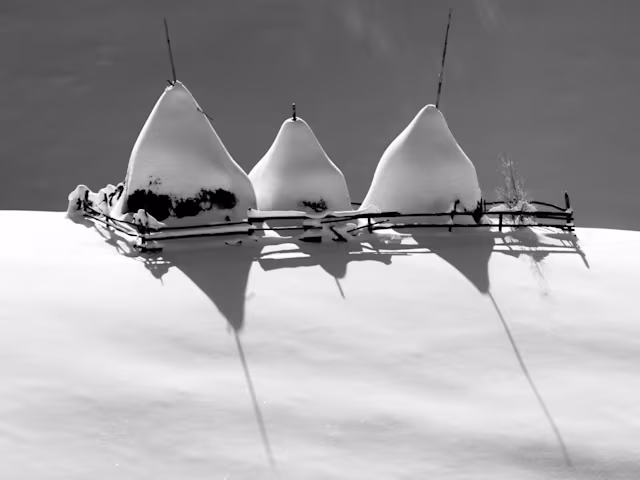 Schubert Complete(d) Trios Schubert Complete(d) Trios