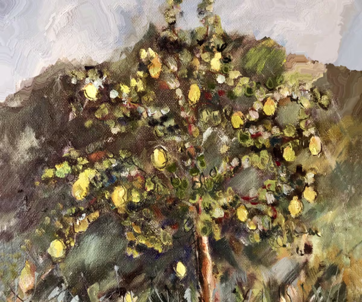 The Pear Tree on the Top of the Mountain The Pear Tree on the Top of the Mountain