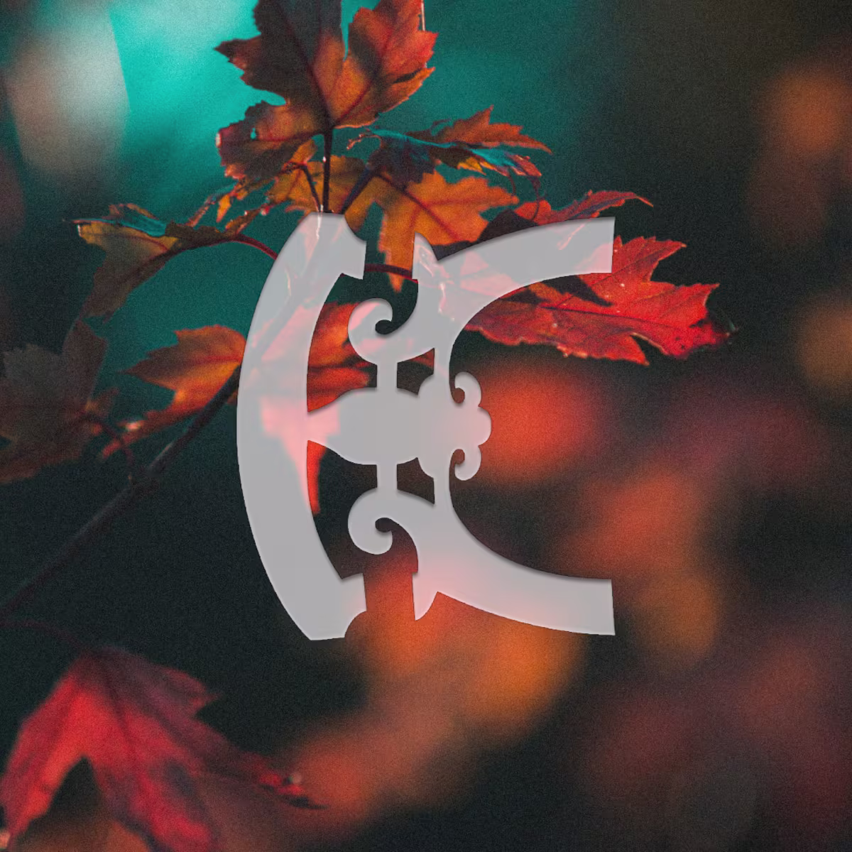 Playlist - November 2023 Playlist - November 2023