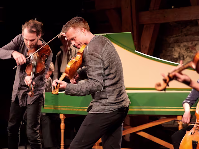 Purcell's Playground Purcell's Playground