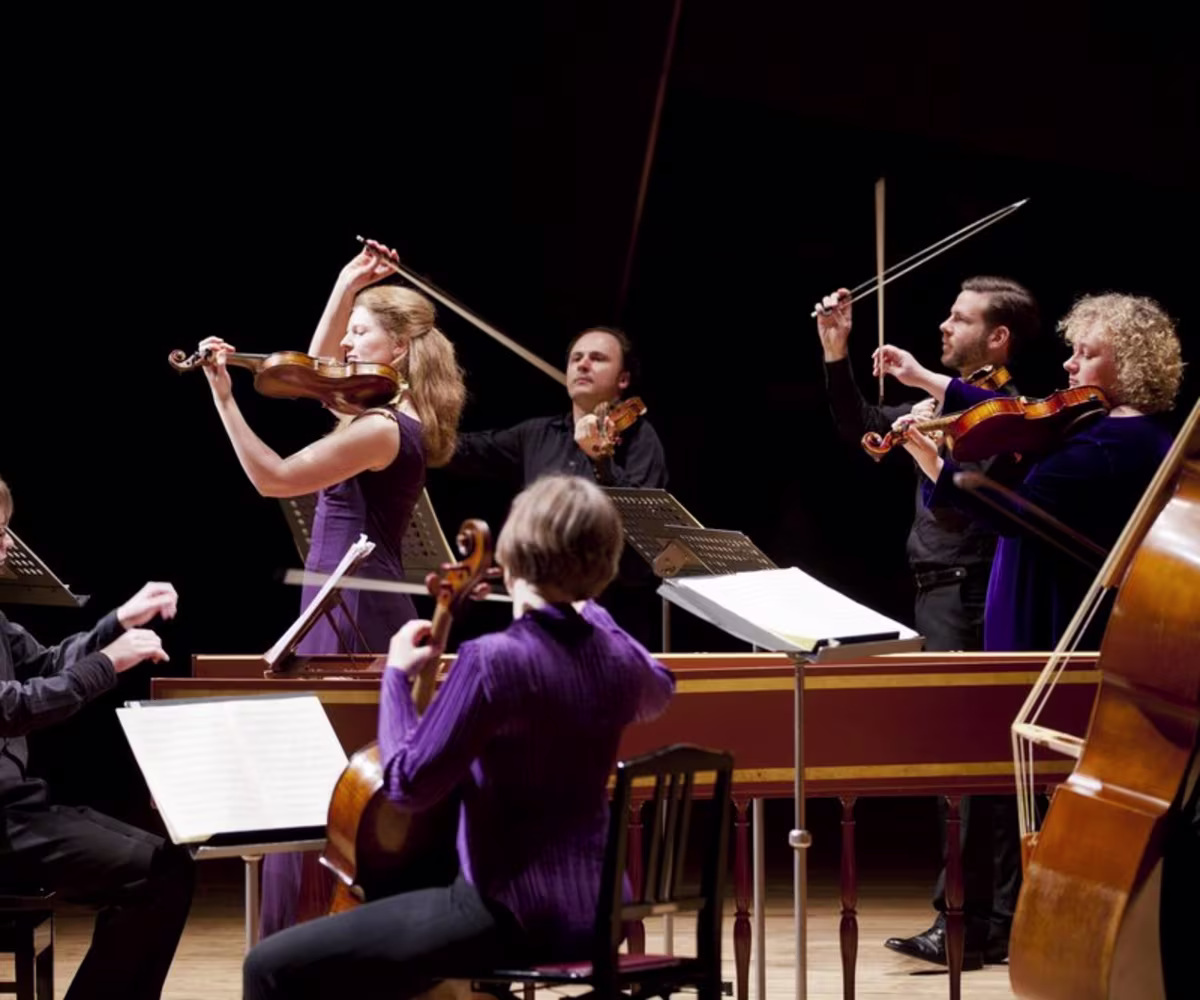 French Connexions French Connexions