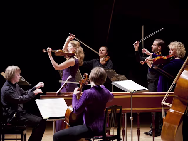 French Connexions French Connexions