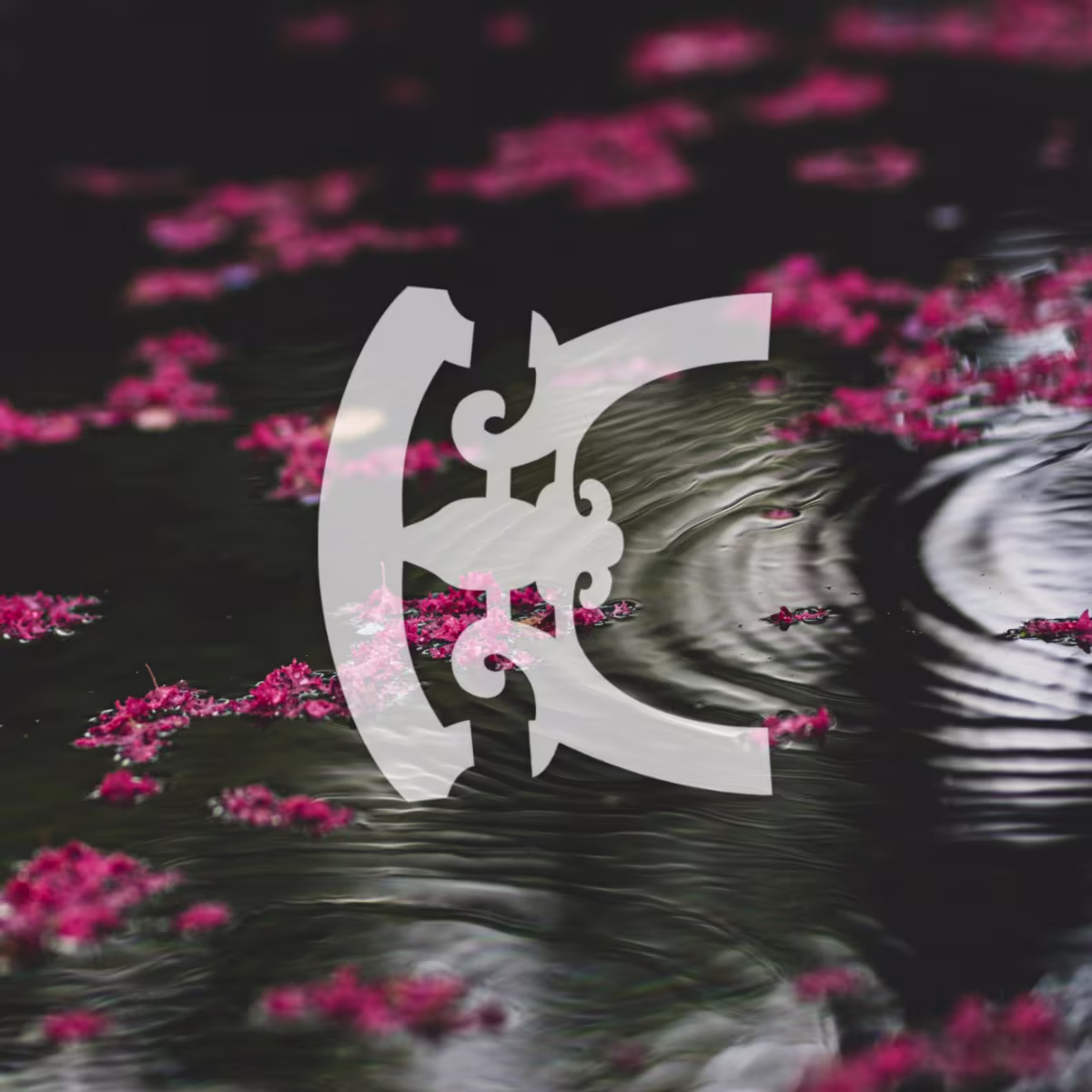 Ebb and Flow Ebb and Flow