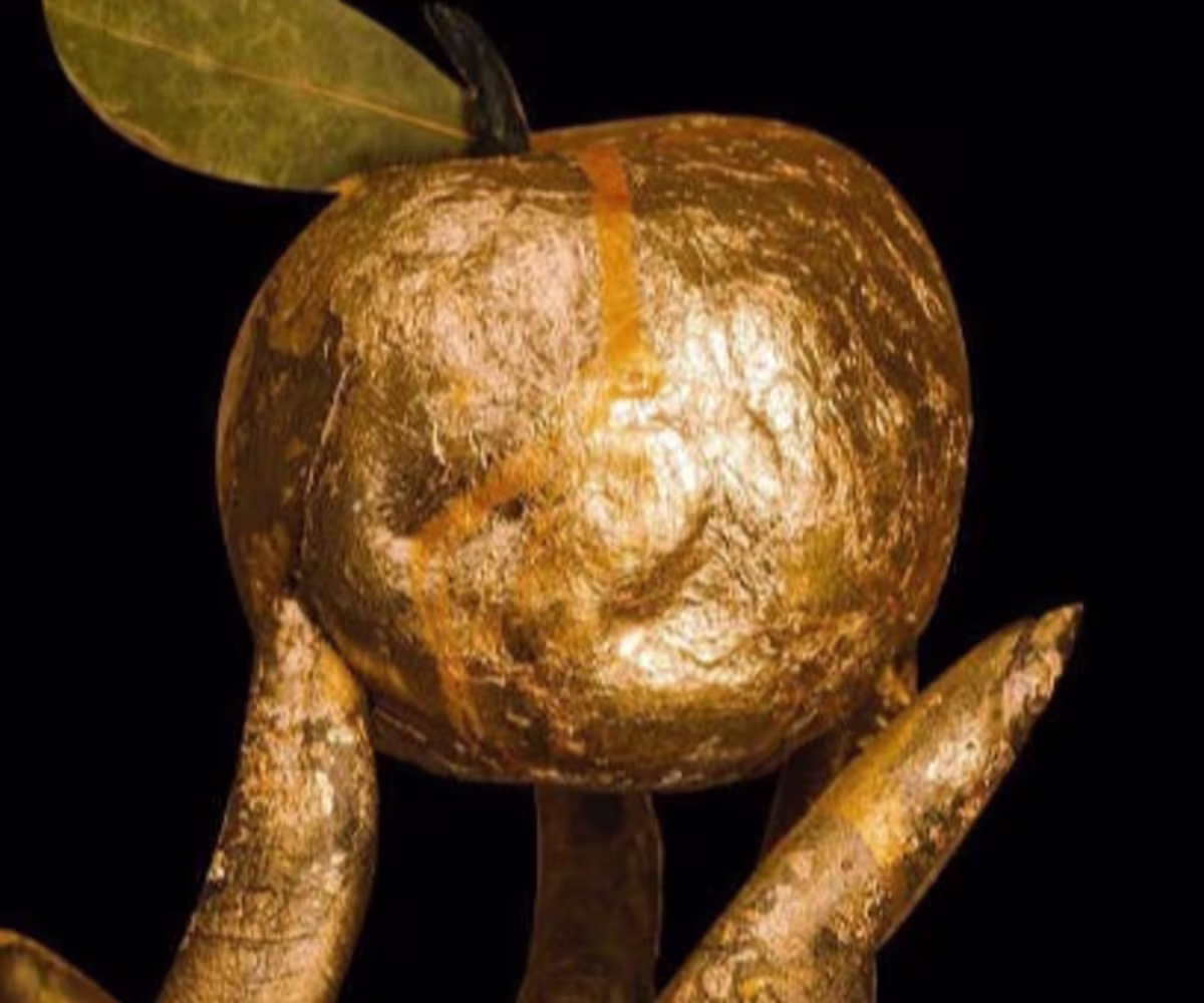 Weldon's The Judgment of Paris (1701) Weldon's The Judgment of Paris (1701)