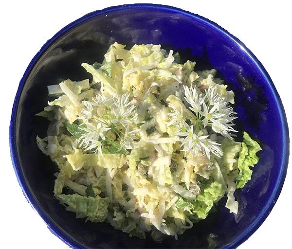 Mrs Marshall's cabbage and caper salad with wild garlic