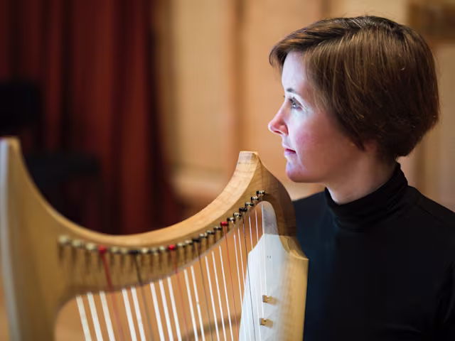 My Gentle Harp My Gentle Harp