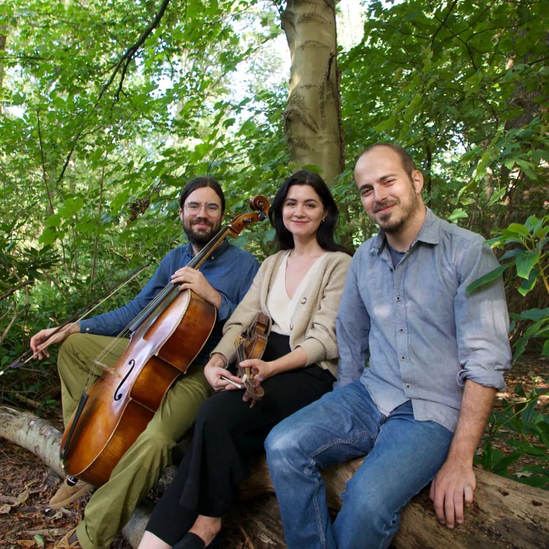Discovering Early Music - Playing with History