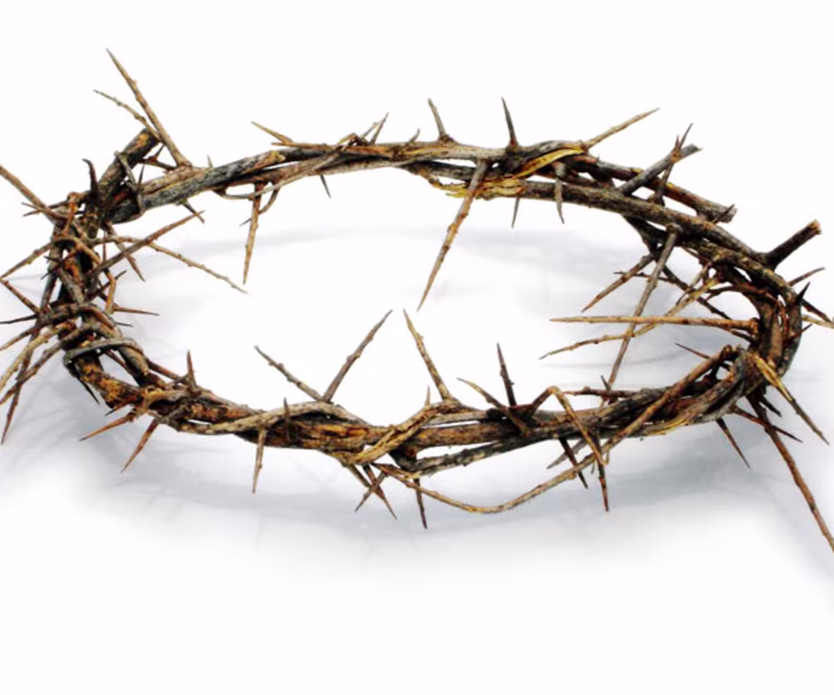 St John Passion St John Passion