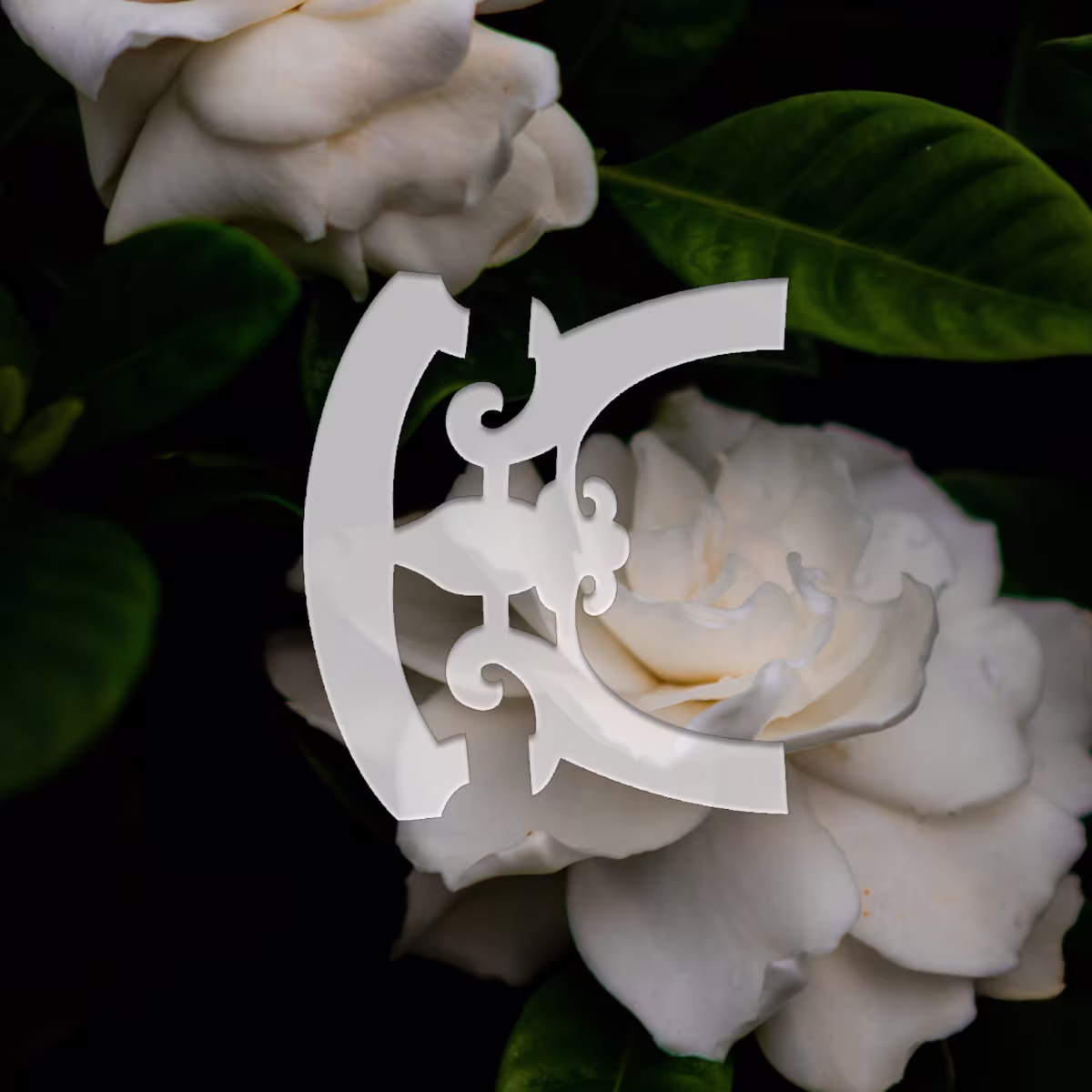 Playlist - February 2024 Playlist - February 2024