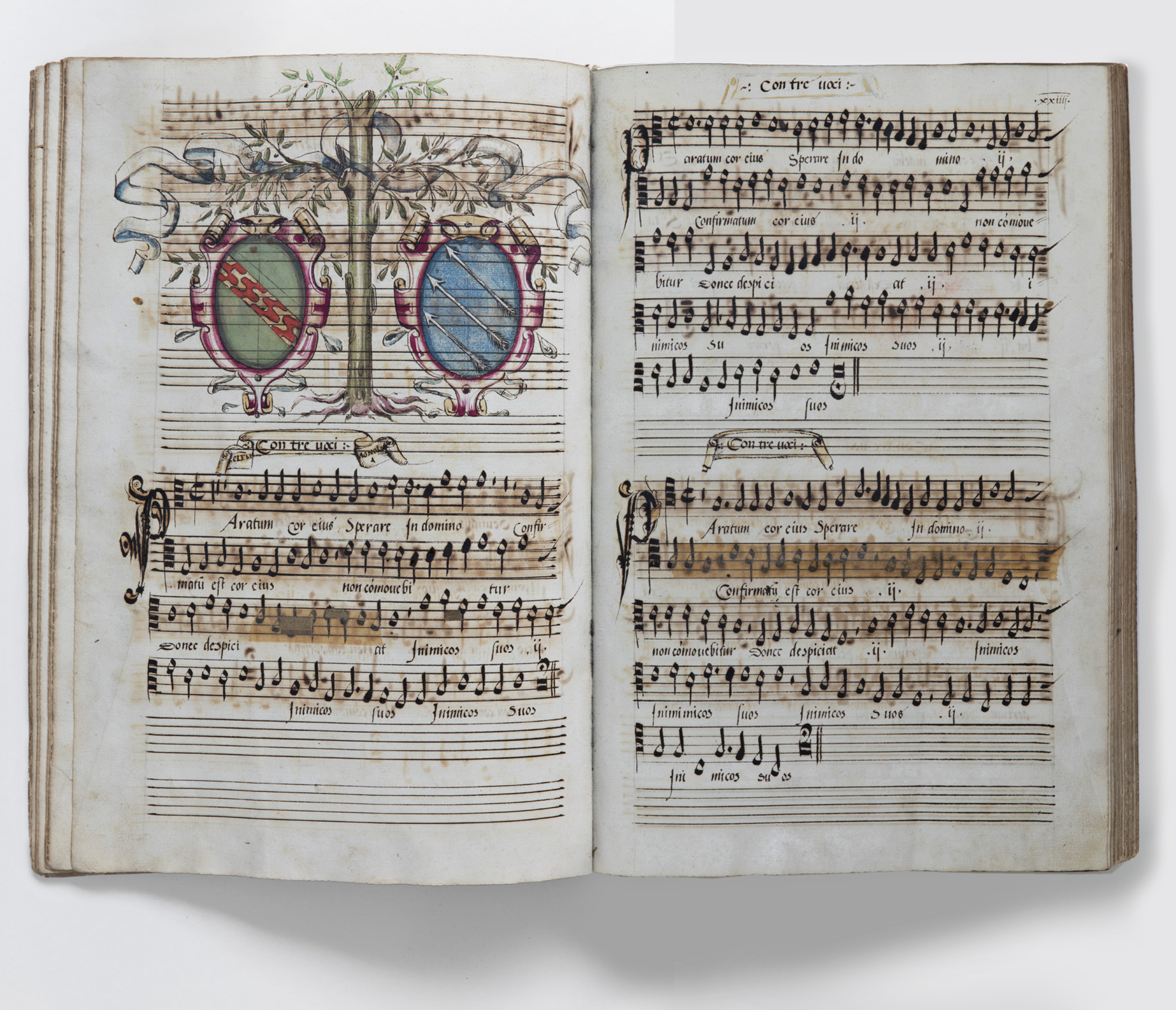 Sisters of polyphony