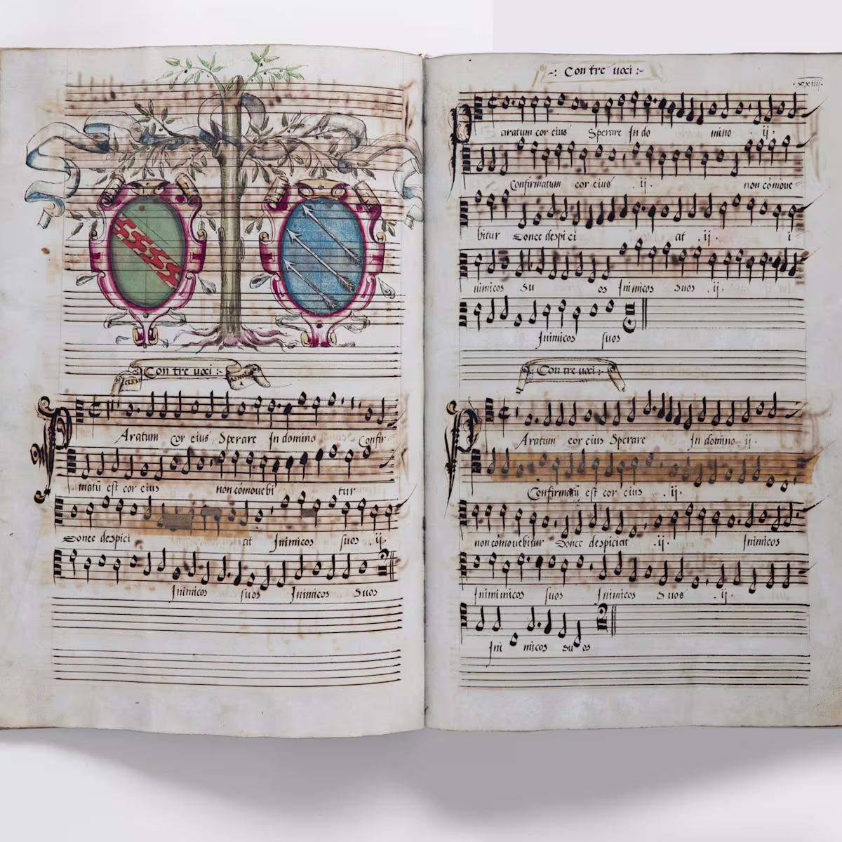 Sisters of polyphony Sisters of polyphony