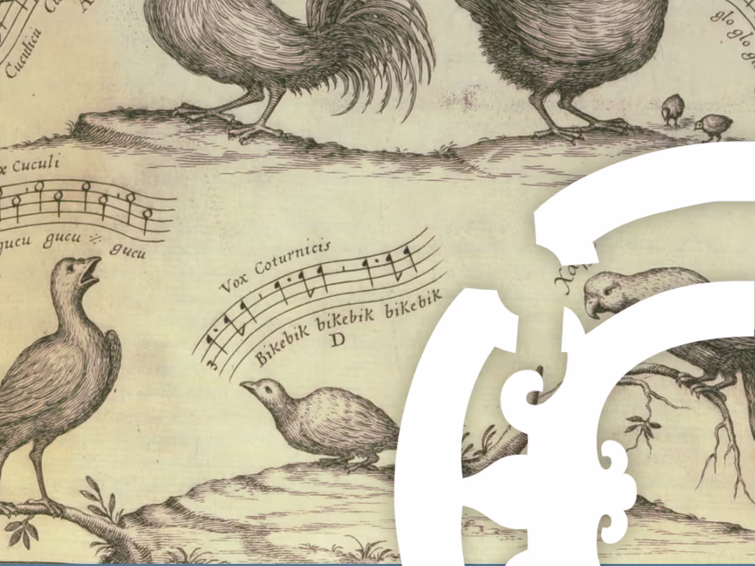 Birds in Early Music Birds in Early Music