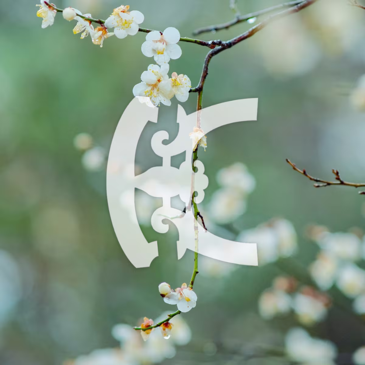 Ecco la Primavera Ecco la Primavera