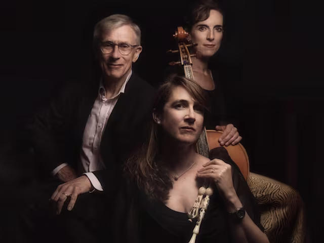 Panettone or Bûche de Noël? Festive ‘sweetmeats’ Panettone or Bûche de Noël? Festive ‘sweetmeats’