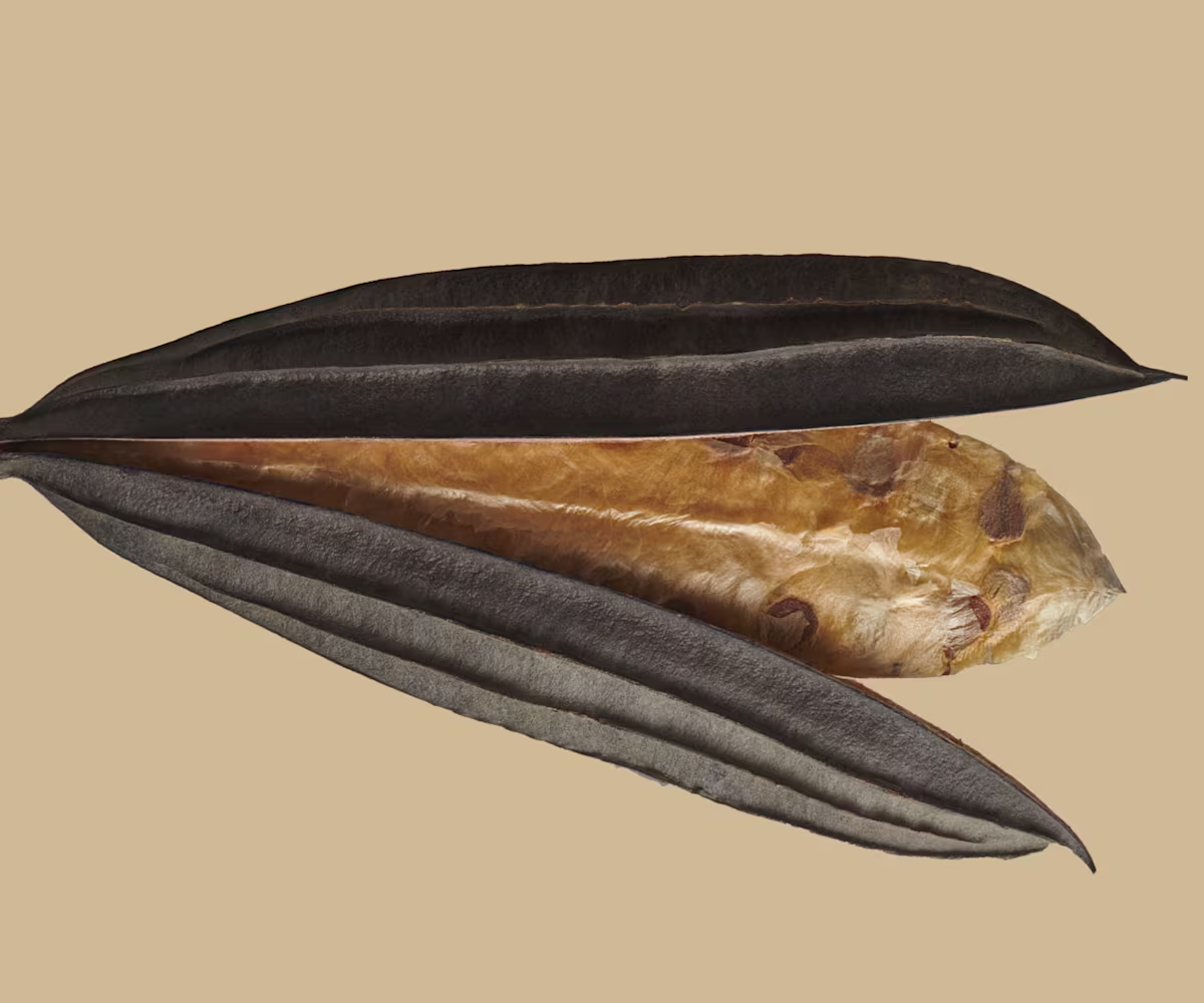 Out Of Her Mouth Out Of Her Mouth