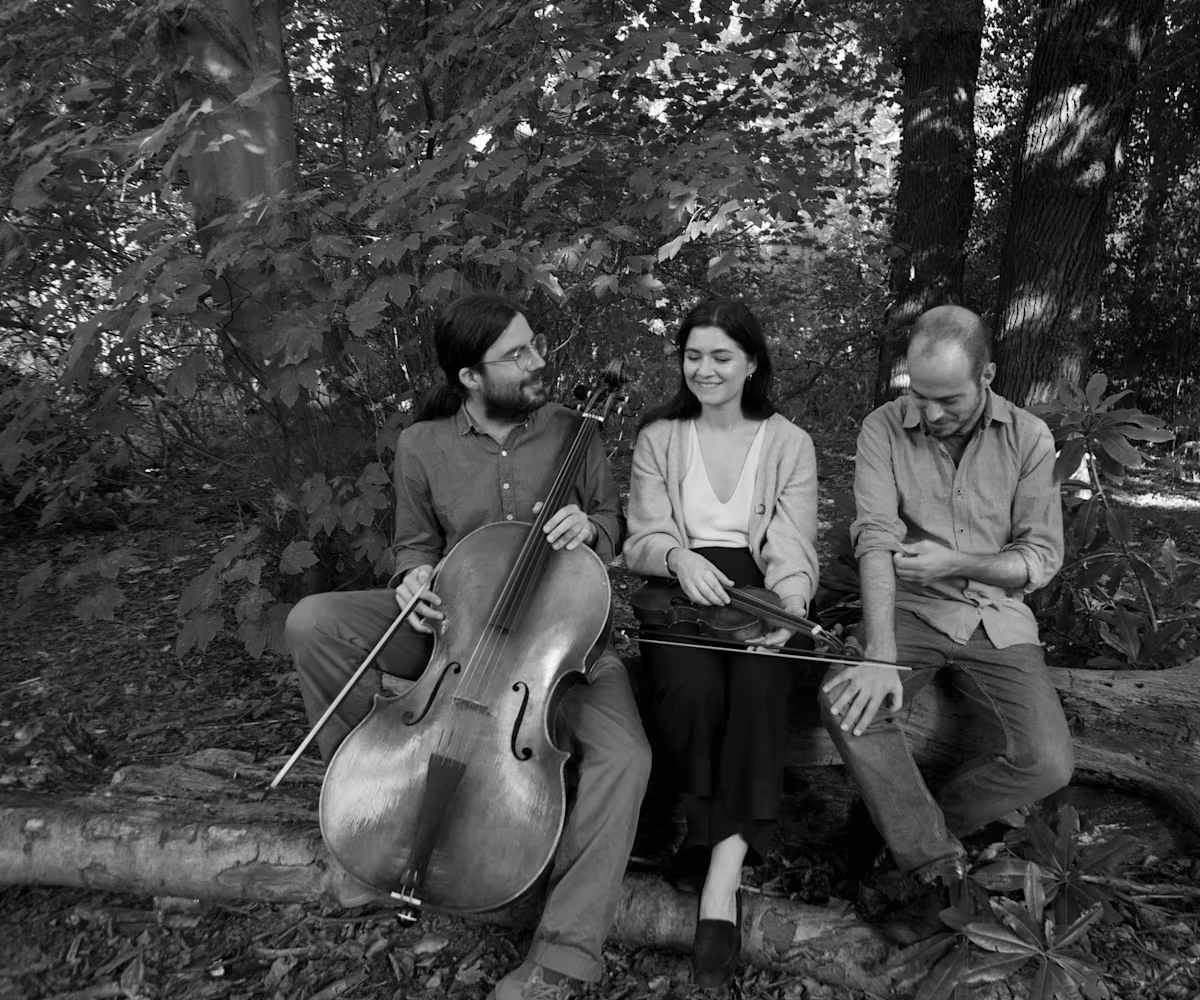 Mr Handel, Il caro Sassone Mr Handel, Il caro Sassone