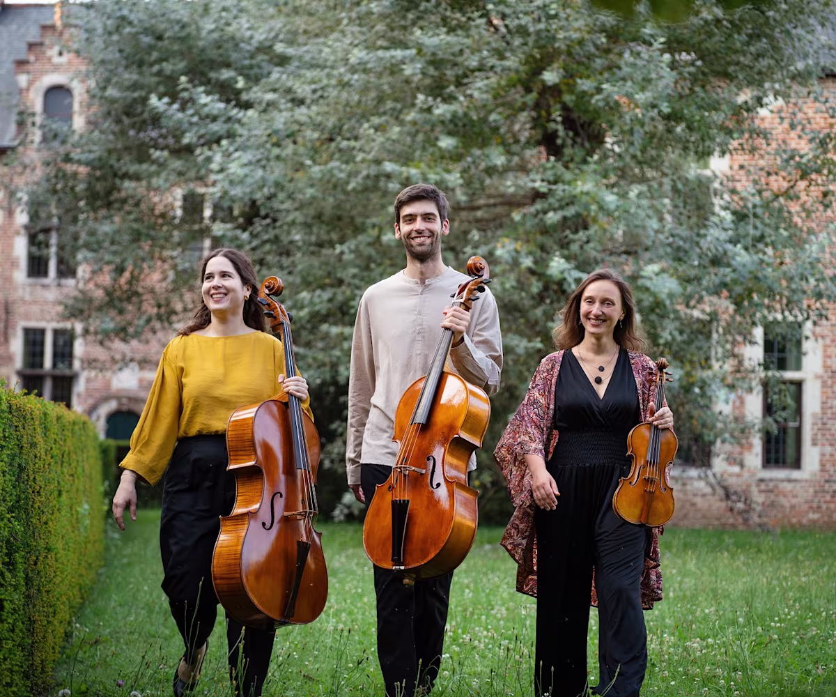 Fine Companion Fine Companion