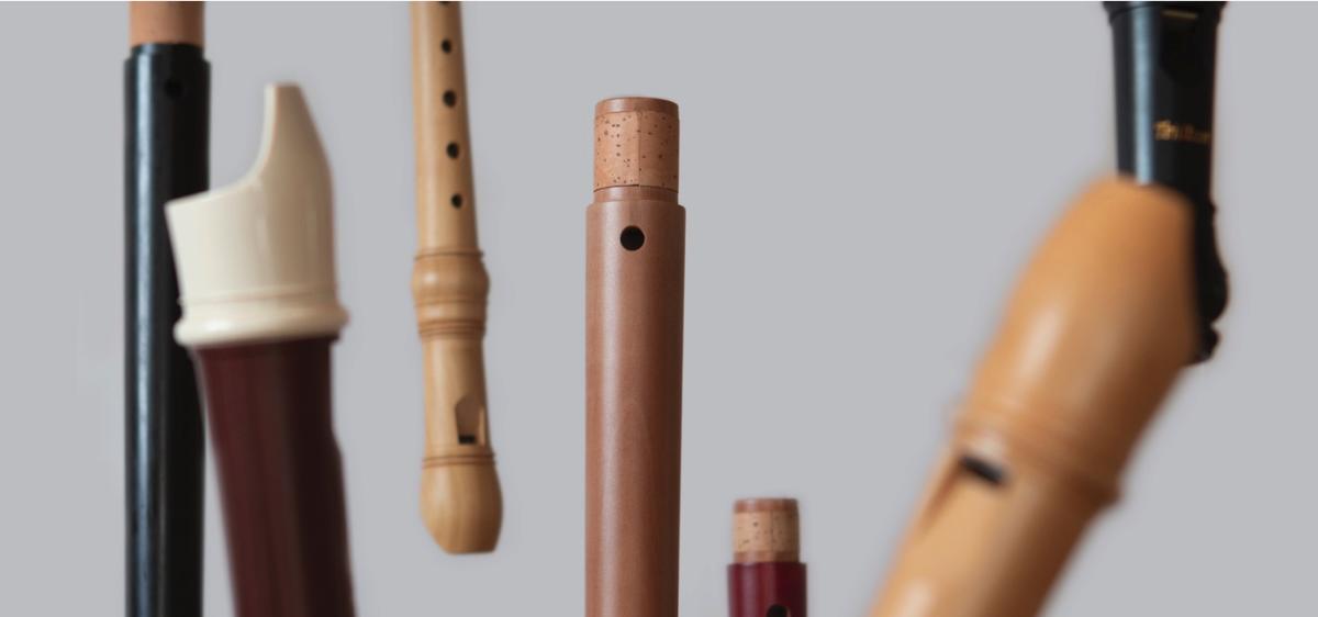 Meet the family  - An introduction to the recorder