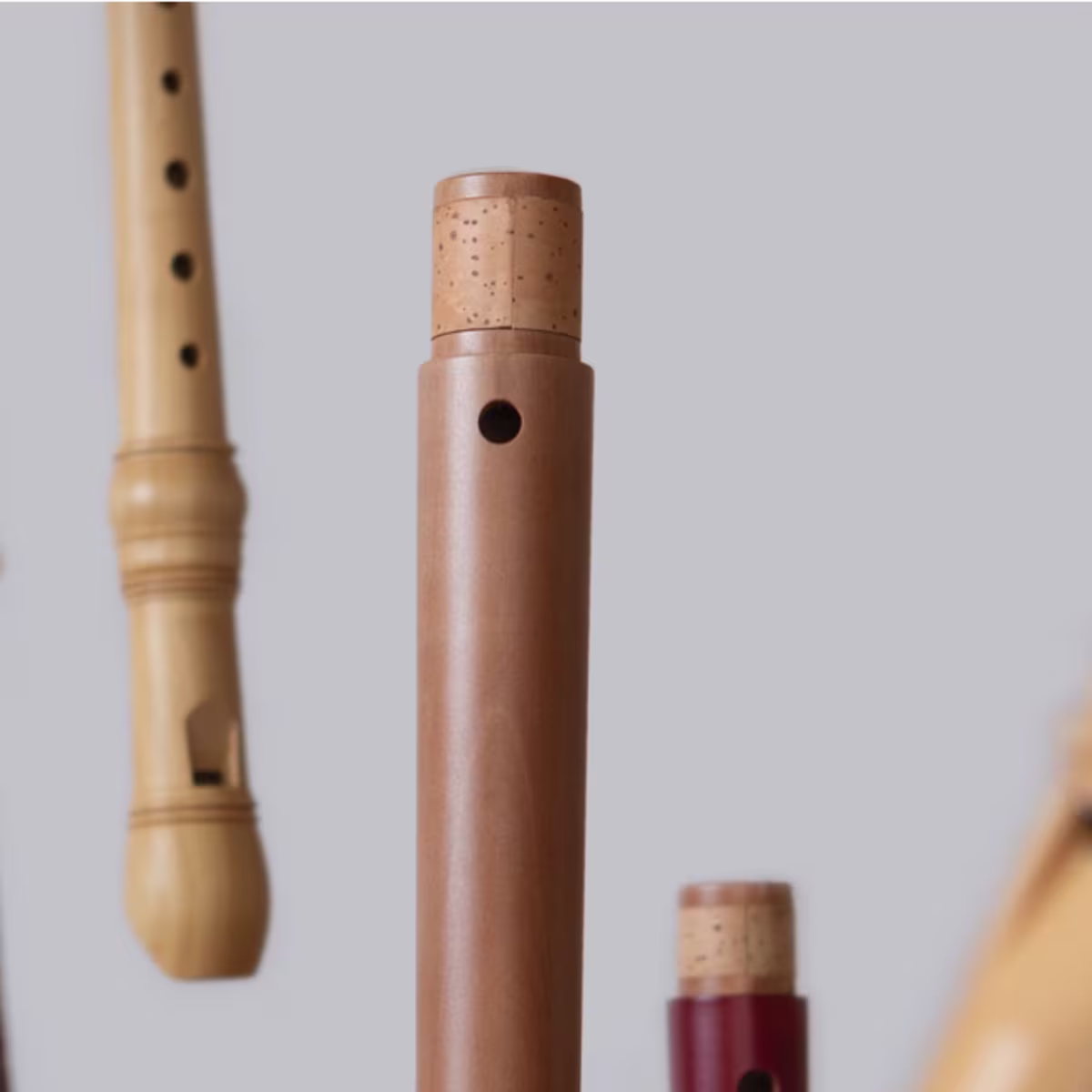 Meet the family Group of recorders - musical instruments