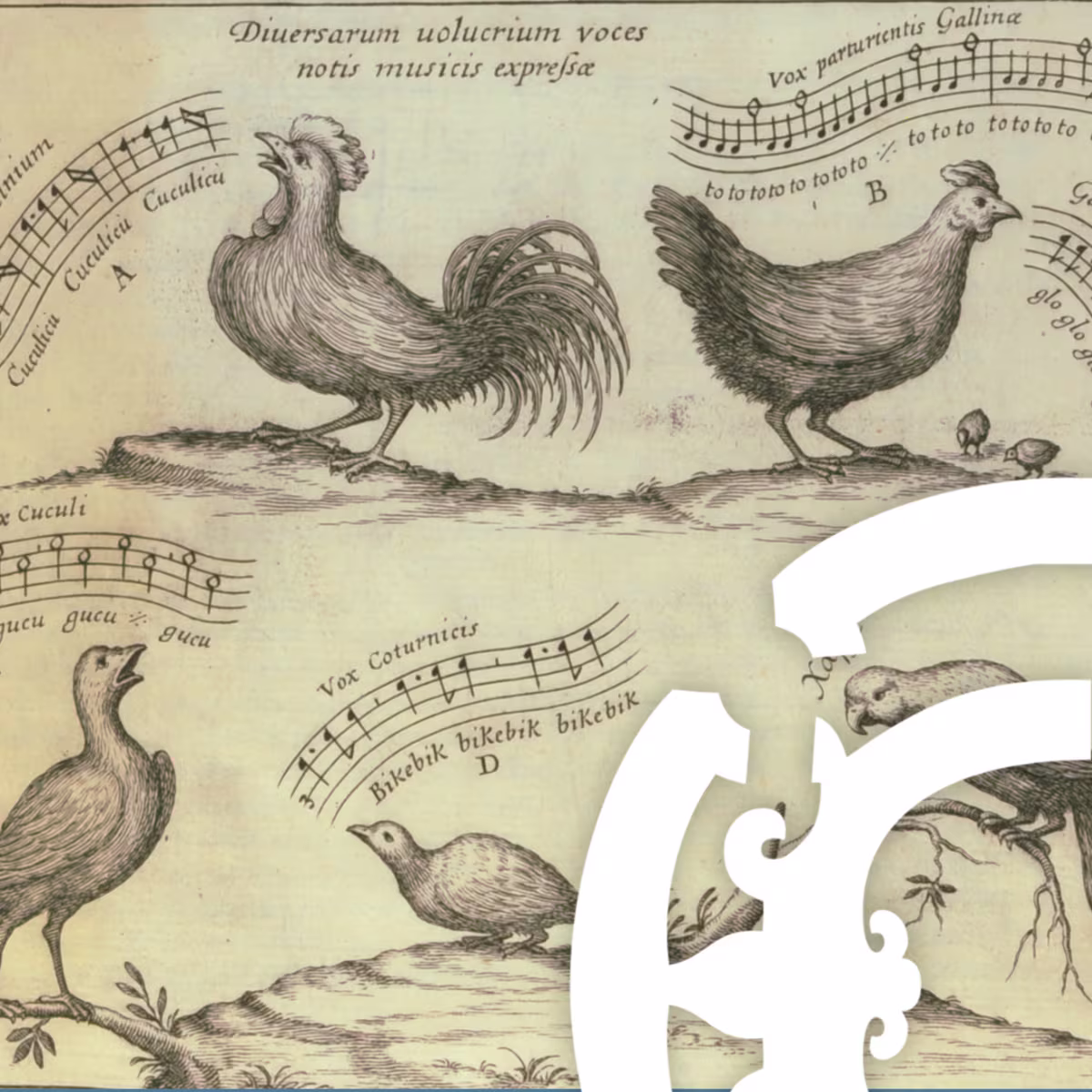 Playlist: Birds in Early Music Playlist: Birds in Early Music