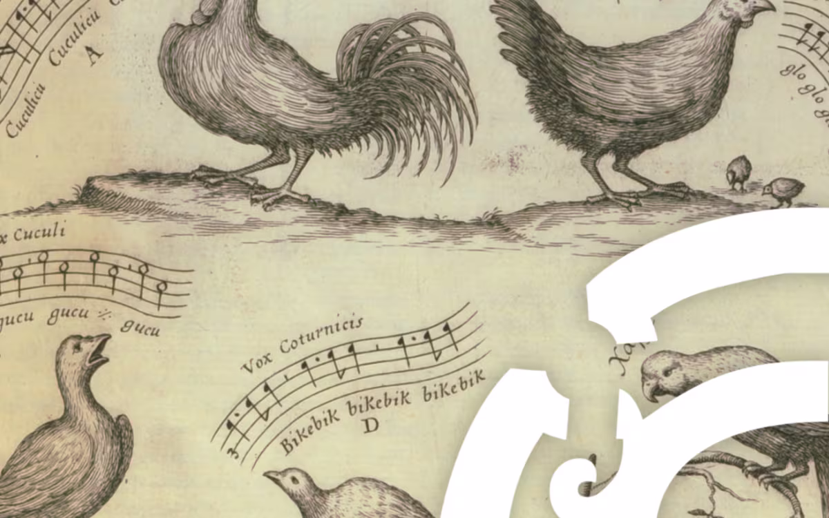Playlist: Birds in Early Music Playlist: Birds in Early Music