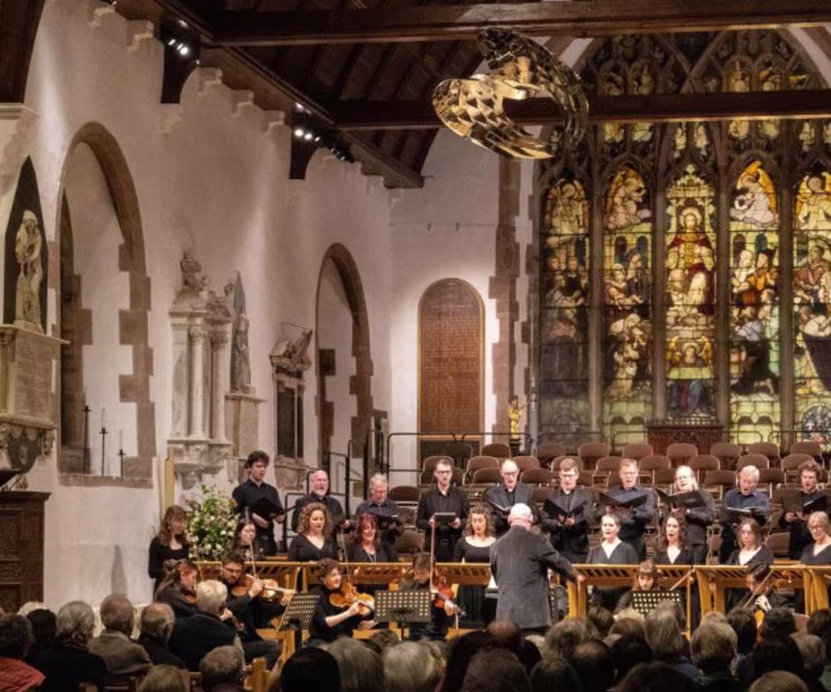 Mayfield XL Mayfield XL