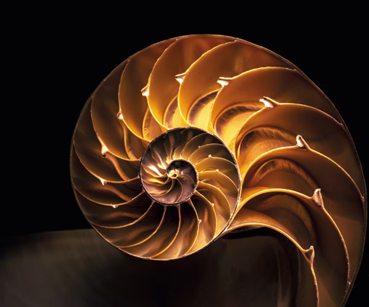 Bach Motets & Solo Violin Music - Part 1 Bach Motets & Solo Violin Music - Part 1